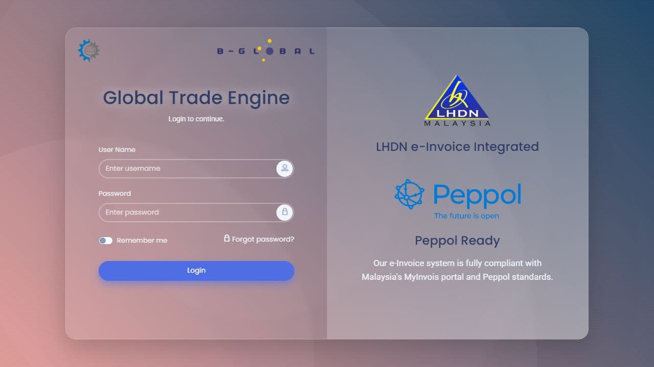 Thumbnail for EInvWebDemo